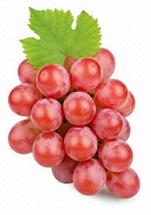 Fototapeta premium 宝石の雫