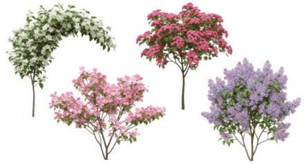 Assorted flowering trees and shrubs with white, pink, red, and purple blossoms on transparent background for garden design
