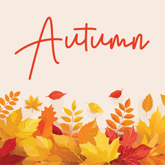 autumn leaves background