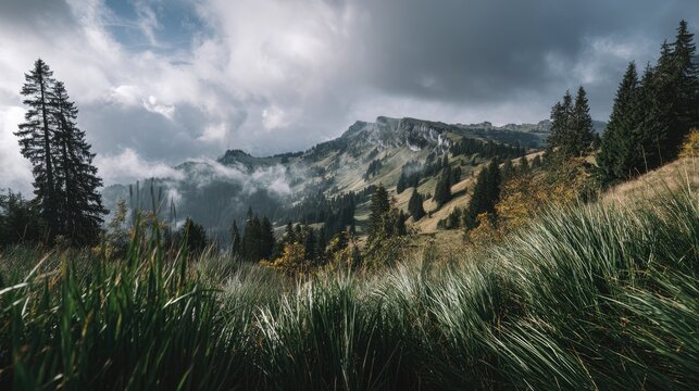 Mountain vista with rolling hills and lush vegetation.