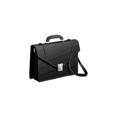 briefcase