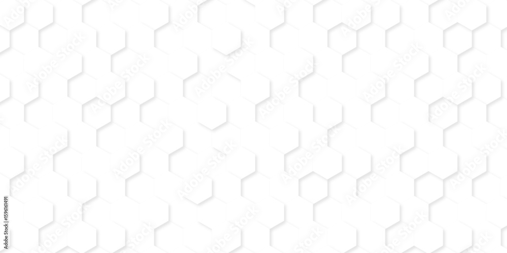 Fototapete background with hexagons . abstract background with lines . white texture background . hexagon abstr