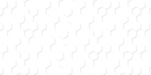 Background with hexagons . Abstract background with lines . white texture background . hexagon abstract background. Surface polygon pattern with glowing hexagon paper texture and futuristic business
