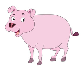 Smiling pig isolated on white background