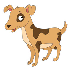 Funny dog isolated on white background