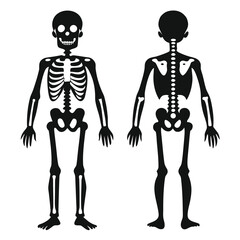 Black Silhouette Illustration of Human Skeleton Front and Back Views on White Background