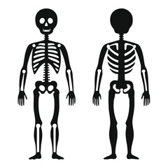 Black Silhouette of Human Skeleton Front and Back Views on a White Background