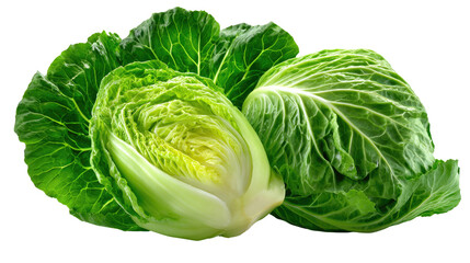 Fototapeta premium Fresh Green Cabbage: Captivating the vibrant essence of health, this photorealistic image showcases a fresh, vibrant green cabbage. The tightly packed leaves invite culinary exploration.