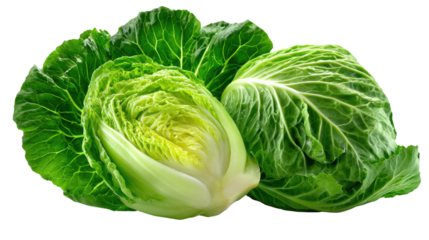 Fresh Green Cabbage: Captivating the vibrant essence of health, this photorealistic image showcases a fresh, vibrant green cabbage. The tightly packed leaves invite culinary exploration.