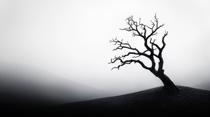 Solitary tree in a misty landscape