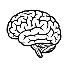 Human brain icon. Outline human brain vector icon for web design isolated on white background 