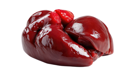 Freshly Cut Liver: A close-up of a piece of raw, fresh liver ready for cooking or further processing, highlighting its rich color and texture.