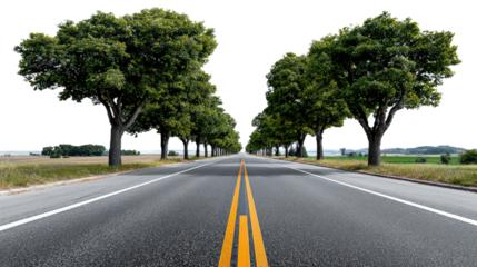 The Road Less Traveled: An endless stretch of road disappearing into the horizon, bordered by trees, an invitation to wander, explore and embrace the journey ahead. 