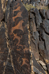 SARMYSHASHAI, UZBEKISTAN - JULY 10, 2023: The ancient petroglyphs on the rocks contain more than 5,000 images of flora and fauna, making them a unique natural and archaeological site. 