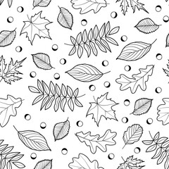 Seamless Autumn Leaf Pattern. A clean seamless vector pattern with outlined oak, ash, and maple leaves in black on white.