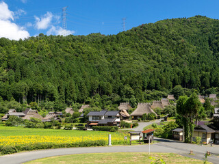 高台から見る夏の美山かやぶきの里