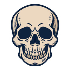 Fototapeta premium Skull Illustration with Line Art Shading and Dark Blue Outline Design