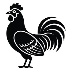 rooster isolated on white