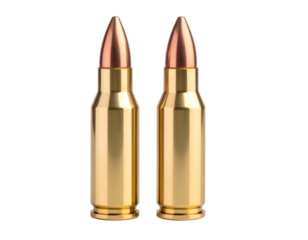 Two gleaming rifle cartridges stand upright, showcasing their polished brass and copper components.