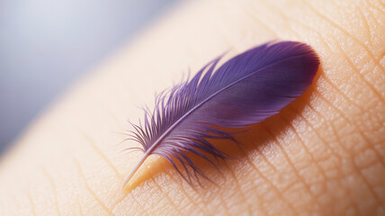 bird feather