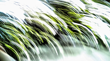 Abstract