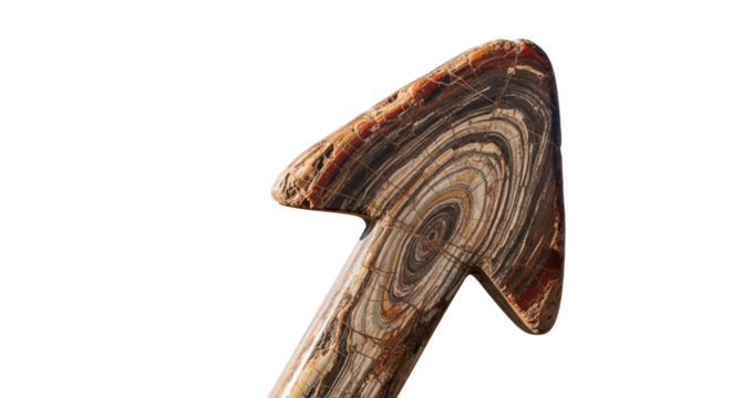 Polished cross section of a petrified wood arrow with detailed concentric mineral rings and layers