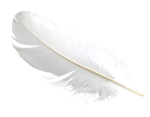 Obraz premium Elegant white feather captured with subtle details highlighting its ethereal beauty.