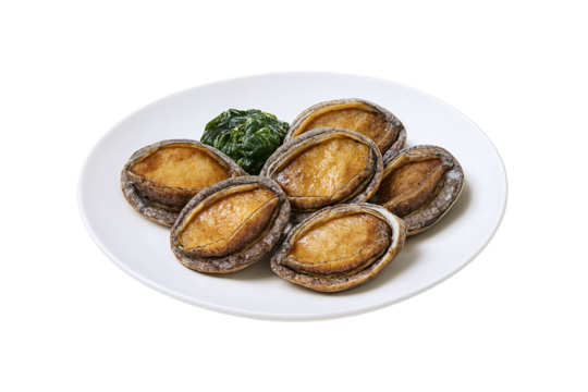 Abalone – Premium Korean Shellfish