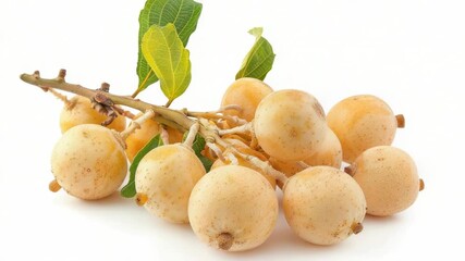 A colorful arrangement of various fruits on a white background, ideal for food or health related uses