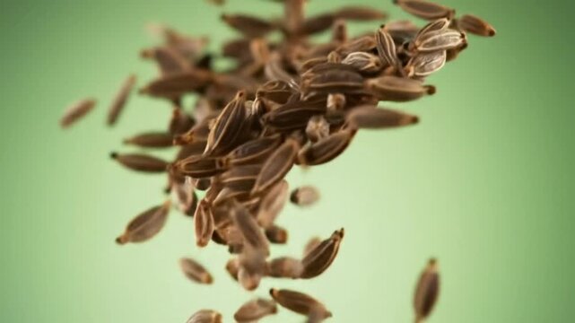 Falling Cumin Seeds in Slow Motion | Spice Flow in HD Ultra Detail