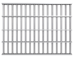Imposing silver-colored metal bars form a secure barrier, evoking feelings of restriction and protection.