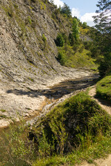 Obraz premium Clear mountain stream gently flowing through a rocky forest valley under a blue summer sky. Surrounded by trees and cliffs, this tranquil nature scene is ideal for themes of eco-tourism, outdoor