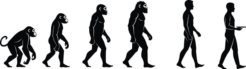 Fototapeta premium Evolution of humans from primates, human development timeline, scientific illustration, anthropology study, educational image, biological transformation, mankind history