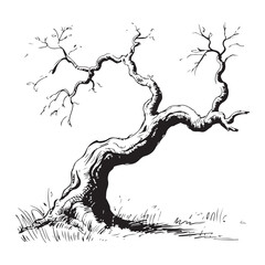 Obraz premium Monochrome Illustration of a Gnarled Tree Standing Alone with Bare Branches in a Field of Grass in Early Winter