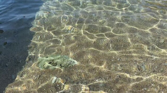 Clear water surface with gentle ripples reflecting sunlight on sandy bottom