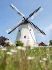 Die Windmühle Årsdale auf Bornholm, leicht bewölkter blauer Himmel, vertikal, Zaun und Wiese mit...