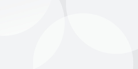 White geometric abstract background overlap layer on bright space with lines effect decoration. Modern graphic design element circles style concept for banner, modern vector arts