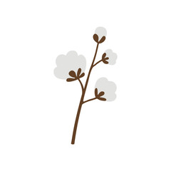 Cotton. A white cotton box. Cotton wool. The ripe fruit of a cotton plant.
