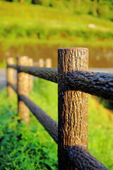 Fototapeta premium 岐阜県池田町の朝日に照らされるフェンス