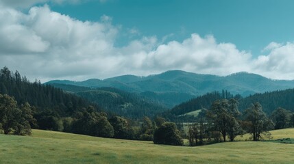Lush green valley stretches to a distant mountain range.