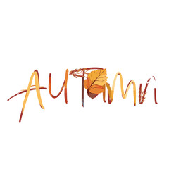 autumn leaves background