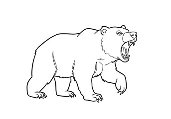 Obraz premium Bear roaring drawing. It is a black and white outline image of a bear in a roaring pose, showing its ferocity and power. Vector sketch line art draw.