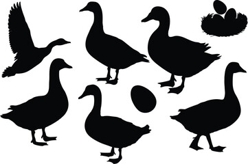 Collection of diverse goose silhouettes in various poses and nest with eggs
