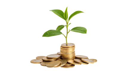 Sprouting Plant on Gold Coins Isolated on Transparent Background