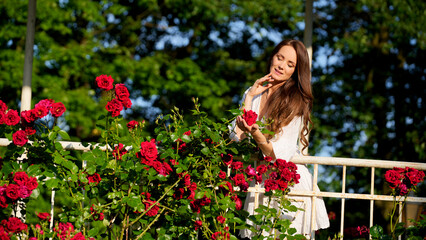 Young woman in white dress touching blooming red roses while standing on vintage garden terrace...