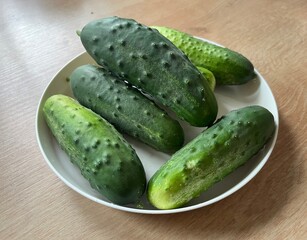 green cucumber cucumis sativus, healthy vegetables from the garden