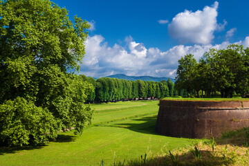 Lucca city walls beautiful park with sycamore and lindens