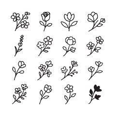 Collection of hand drawn floral illustrations in black and white