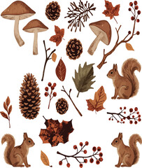 Forest elements are ideal for eco-friendly brands, nature bloggers, or autumn campaign materials