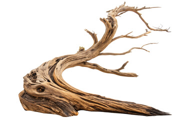 Dynamic driftwood piece isolated on AI generated by PNG